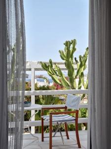 Belvedere Mykonos - Main - 55