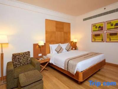 Park Plaza Chennai Omr - 66