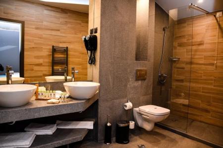 Arte Spa & Park - 77