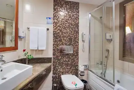 Alba Royal - Ultra All Inclusive -Adults Only (+16) - 9