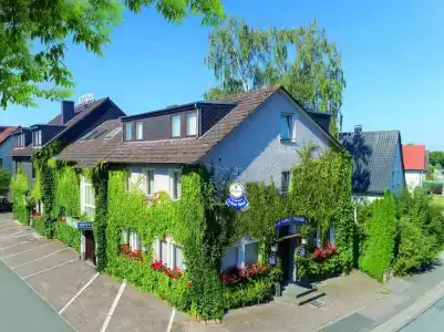 Grüner Sand - 11