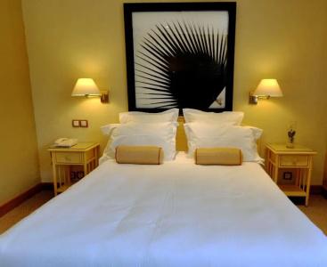 Best Western Premier Montfleuri - 69