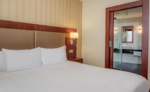 DoubleTree by Hilton Bratislava - 48
