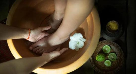 Hatthatara - 14