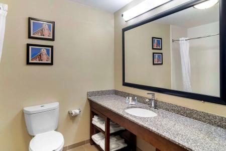 Comfort Inn & Suites North I-75 - 7