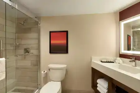Embassy Suites by Hilton Phoenix Downtown North - 7