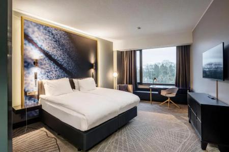 Crowne Plaza Helsinki - Hesperia, An Ihg - 56