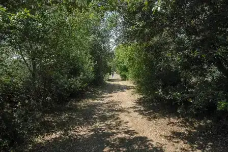 Masseria Berzario - 68