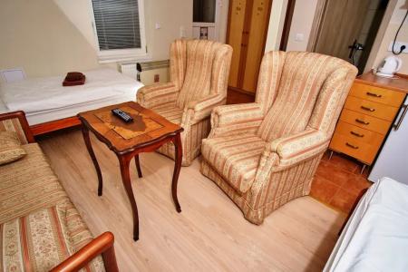 Apart Villas Ivica - 100