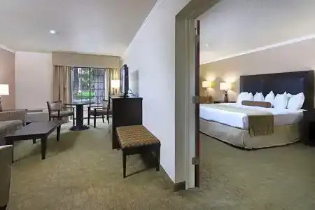 Best Western Tucson Int'l Airport & Suites - 45