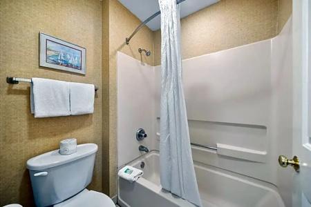 Quality Suites Atlanta Buckhead Village North - 72