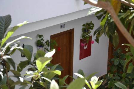 Oasis Atalaya - 24