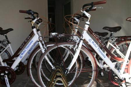 Timiama - 11
