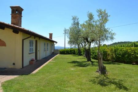 Tenuta Pizzogallo - 82