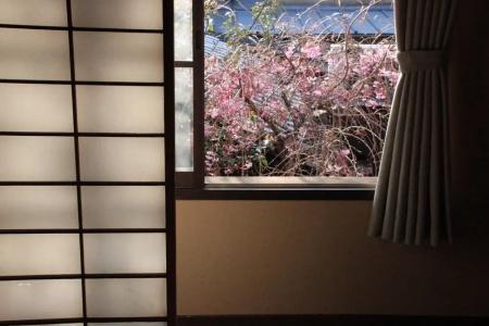 Haruya Umekoji - 85
