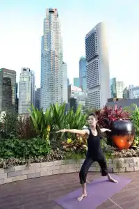 Clover The Arts (Sg Clean) - 23