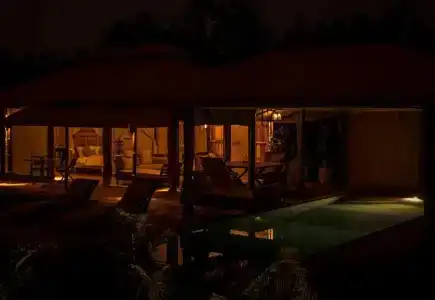 The Beige - 64