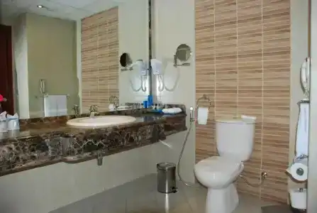 Safir Cairo - 25