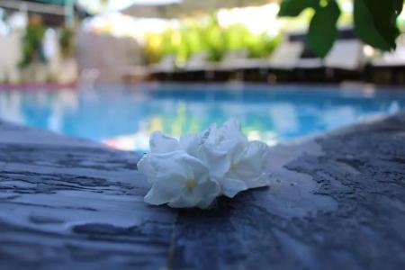 Phuc Thao Villa - 104