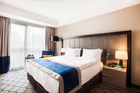 Holiday Inn Kayseri - Duvenonu, an IHG - 28