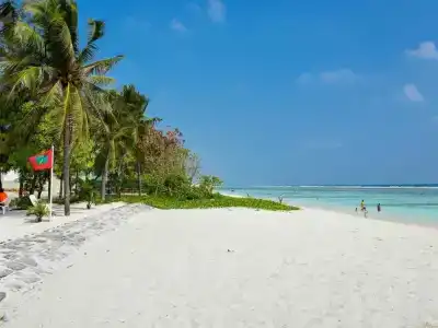 Coconut Tree Hulhuvilla Beach - 22