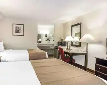 Quality Inn & Suites Coliseum - 4