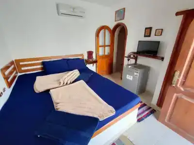 Ghazala - 3