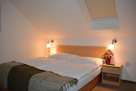Wellness Vila Bohemia - 77