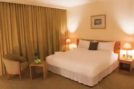 Swiss-Belinn - 0