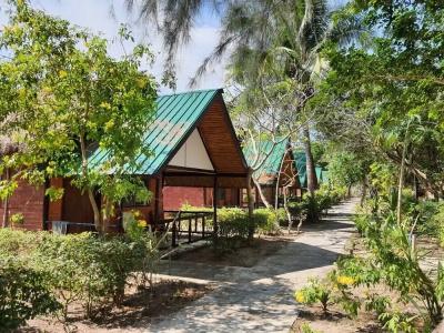 Kradan Beach - 19