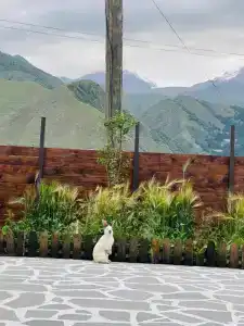 Kazbegi 1963 - 21