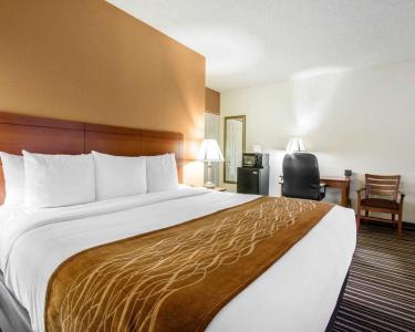 Comfort Suites At Sabino Canyon - 36