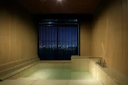 The Singulari & Skyspa At Universal Studios Japan - 22