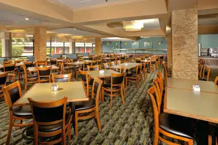Rosen Inn at Pointe Orlando - 33