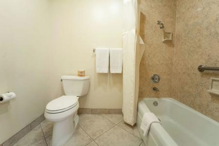 Royal Plaza Inn - 74