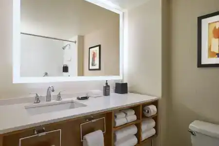 Sheraton Grand Chicago - 82