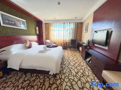 Dynasty International - 29