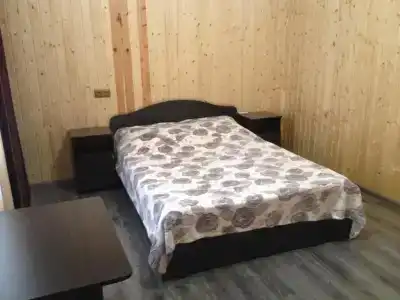 Георгина - 9