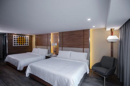 Holiday Inn Buenavista, An Ihg - 2
