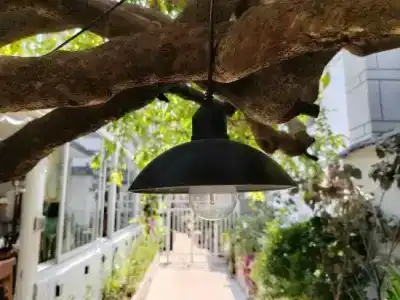 MUYE homestay - 5