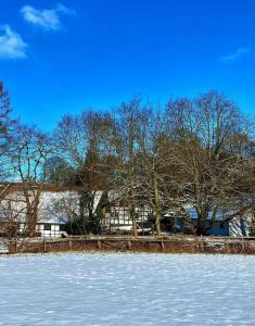 Gut Moschenhof - 12