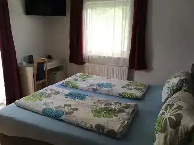 Pension Waldesruh - 4