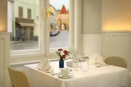Bellevue Český Krumlov - 19