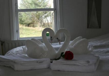 Country Dream - Langholt 2 - 179