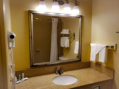 Quality Inn & Suites Vancouver - 57