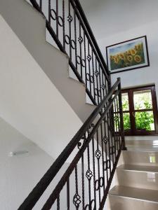 Pansion Breza - 8