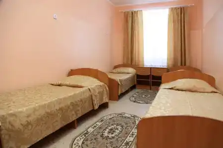 Дружба - 2