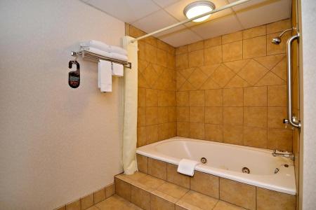 Comfort Inn at Thousand Hills - 7