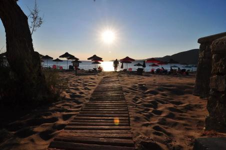 Pal Beach - 19