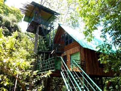 Khao sok tree house resort - 49